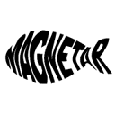 Magnetar Magnets